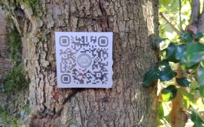 Códigos QR en nuestro parque botánico